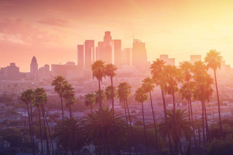 Palm trees against the city during sunset.